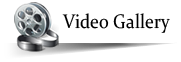 video gallery