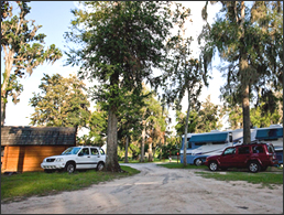 Cabin with parking space